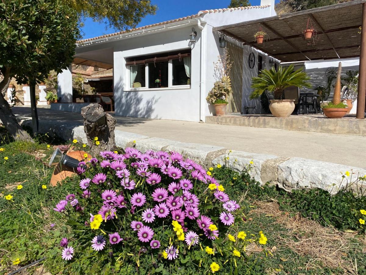 Вилла Casa El Saladillo Valle de Abdalagis Экстерьер фото